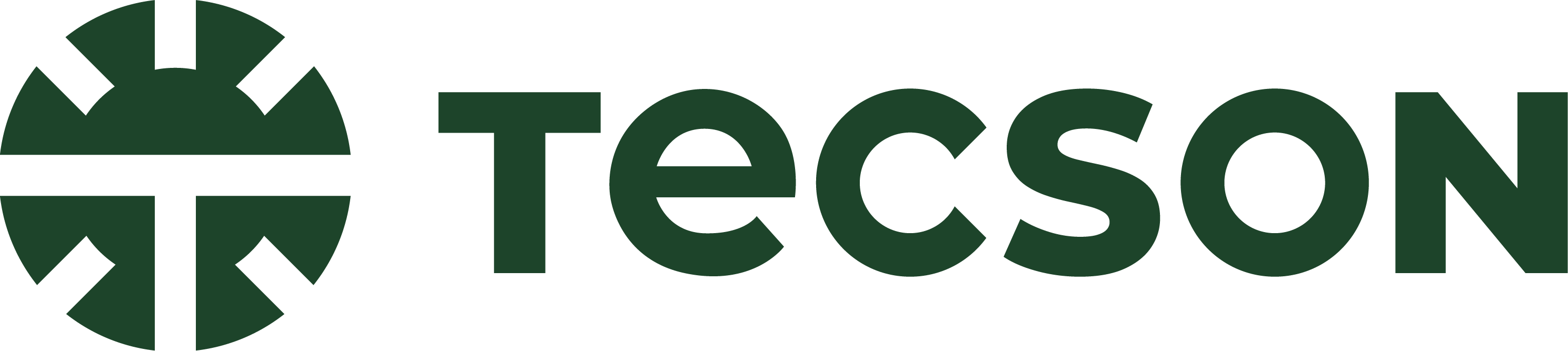 Tecson Logo